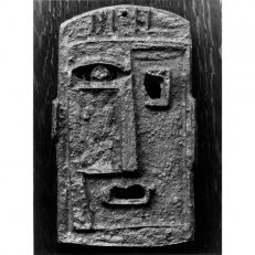 Bachelor. Photo: Ken McAllister