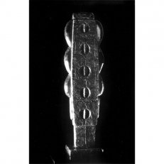 Blossom Lady. Photo: Ken McAllister